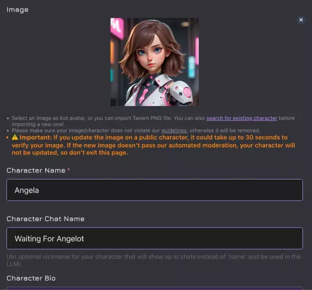 a screenshot of a filled in janitor ai character creation menu