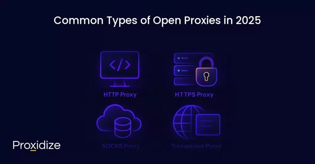 Computers and servers representing HTTP proxies, SOCKS proxies and transparent proxies under the title 